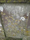 image of grave number 480981